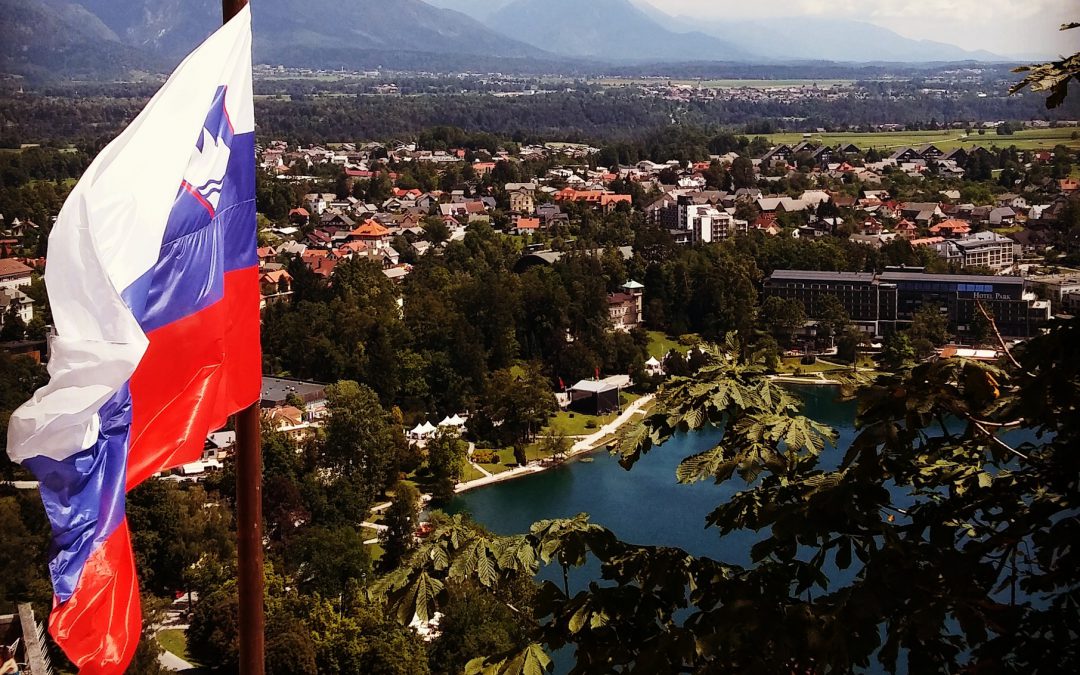 Supreme Court of Slovenia: If the Risk Assessment is Deficient, the CHF Loan is Invalid