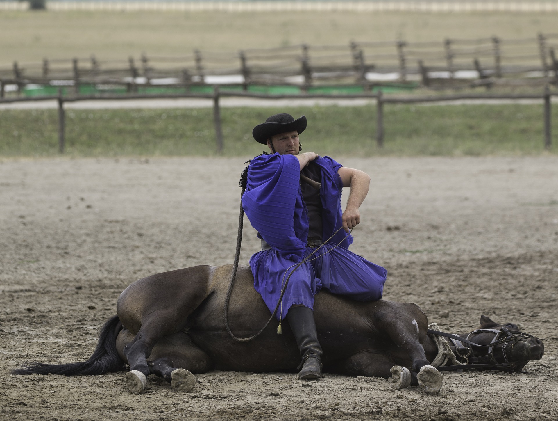 puszta-horse-farm-2443637_1920