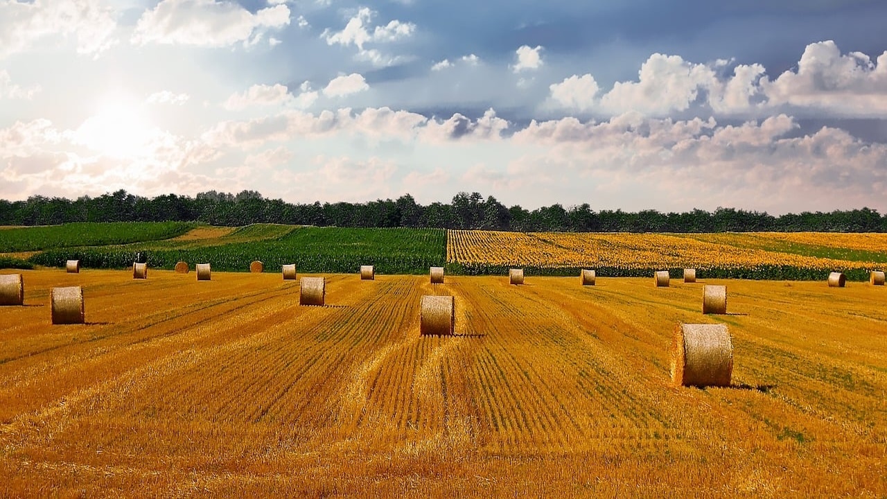 thedigitalartist-countryside-4674764_1280
