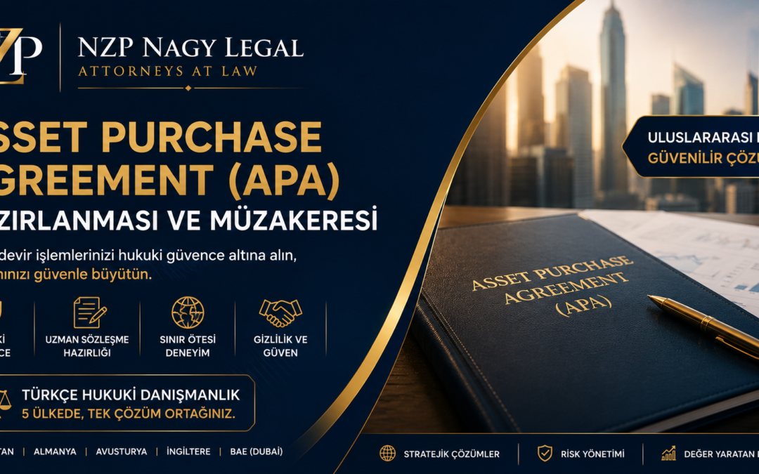 Asset Purchase Agreement (APA) Hazırlanması